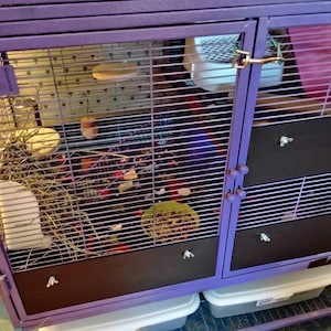 Ruth added a photo of their purchase