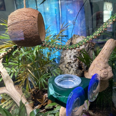 Curated visual reference: Visual Reference: Printable Critter Tracker Reptile Feeding Tracker Feeding Tracker