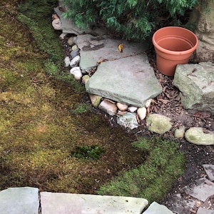 Jennifer heeft een foto van zijn/haar aankoop toegevoegd