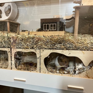 Hamster Tunnel/ Hamster Cave Hideout/ Chamber Rooms/ Hamster - Etsy