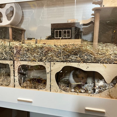 A closer look at Hamster Cave Design With Secure Entry And Easy Exit