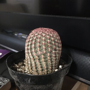 Heather added a photo of their purchase