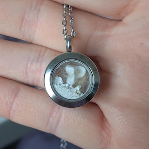 Chelsea さんが購入した商品の写真を追加しました