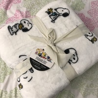 Berkshire Peanuts SNOOPY love is Here Pink Heart All-over Throw Blanket ...