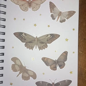 FRANKIE added a photo of their purchase