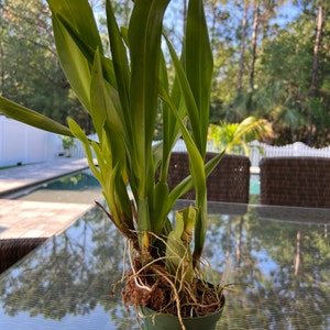 Mayra added a photo of their purchase