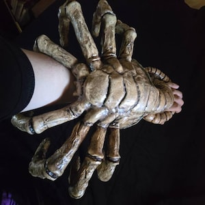 Raul added a photo of their purchase