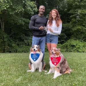 Baby Security Dog Bandana Baby Security in Training Dog Bandana ...
