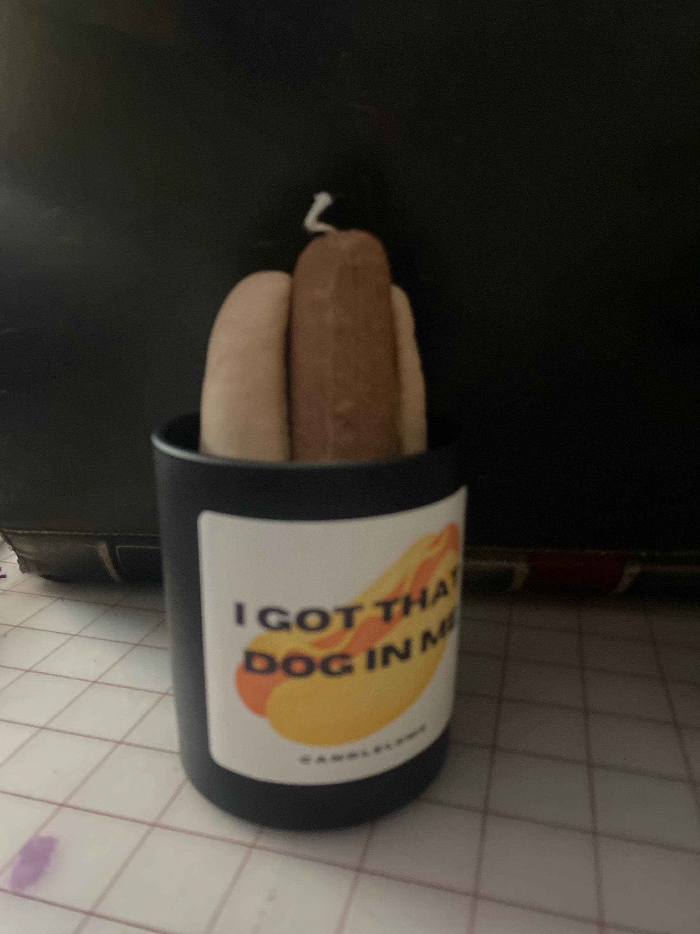 Hot Dog Candle / I got that dog in me candle / funny candle / custom candle / gift ideas