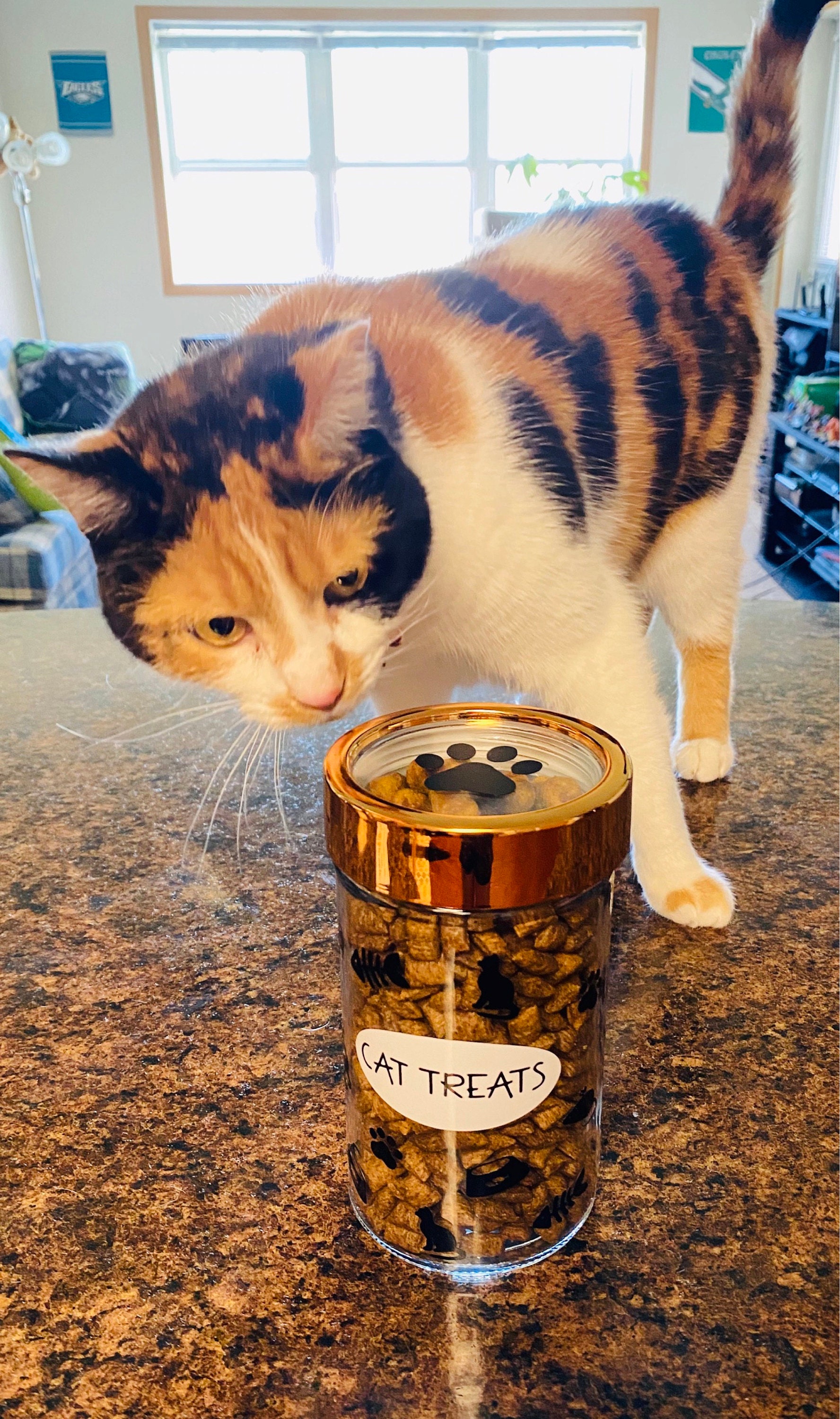 Cat Treat Jar Cat Treat Container Cat Treat Jar with Stainless