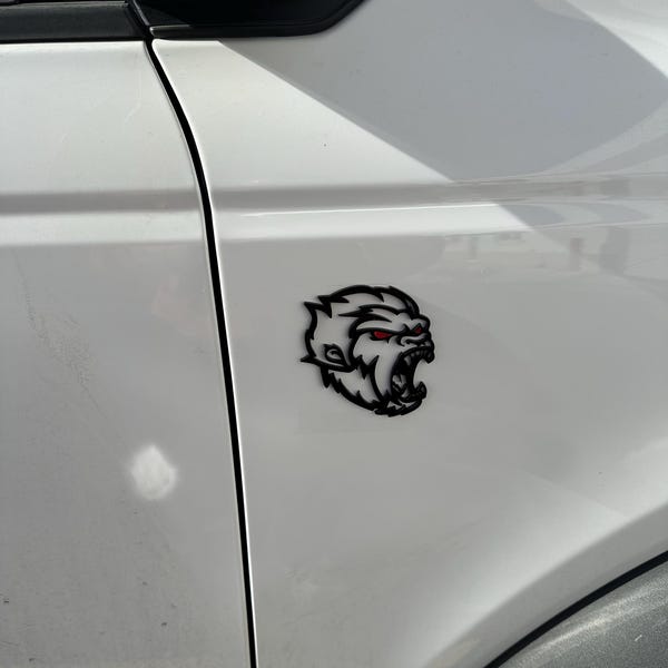 For Fox Badges Emblem Black w Light Blue Eye, 2 Badges, Fender