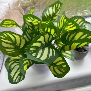 Melanie added a photo of their purchase