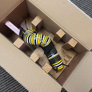 Jeannie added a photo of their purchase