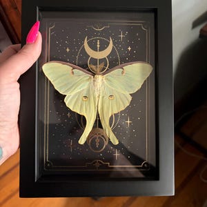 Nicole added a photo of their purchase