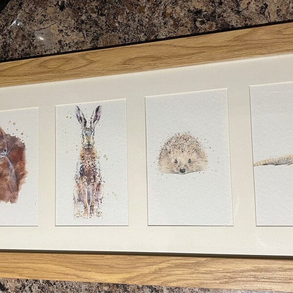 WATERCOLOUR SET OF Wildlife Animal Prints British Wildlife Wall Art watercolour-set-of-wildlife-animal-prints-british-wildlife-wall-art