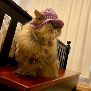 帽子 rad musician PAINT ROSE + CAT BUCKET HAT il_340x270.4950908247_6tql.jpg