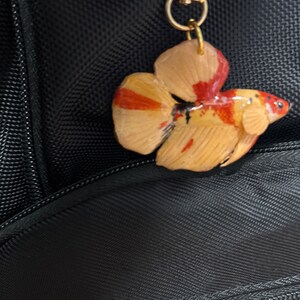 Megan added a photo of their purchase