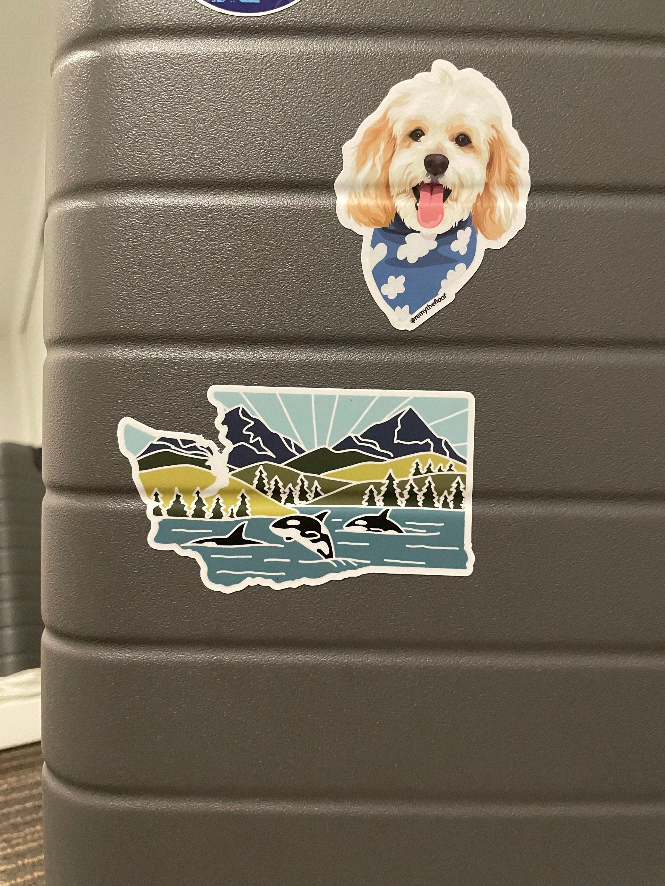 Washington Durable Sticker | High Quality Bumper Sticker | United States Vinyl Decal | Weatherproof Sticker | Water Bottle Sticker | 4&quot;