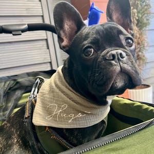 Luise added a photo of their purchase