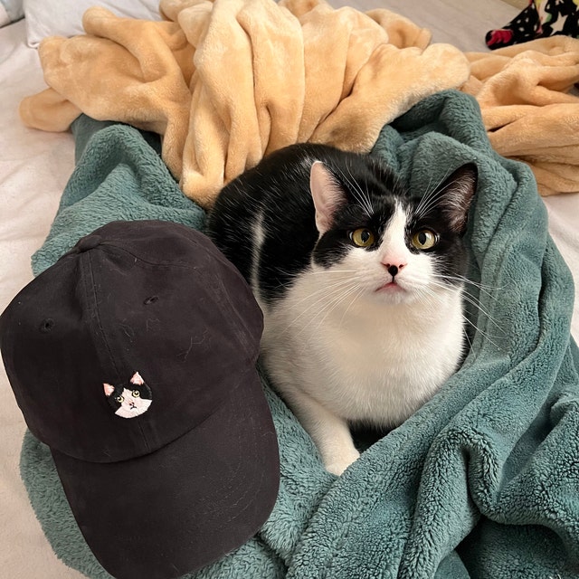 cat wearing baseball cap