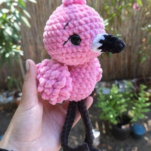 Nikolett added a photo of their purchase