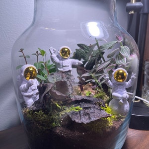 Abigail added a photo of their purchase