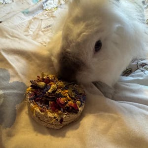 Jodie added a photo of their purchase