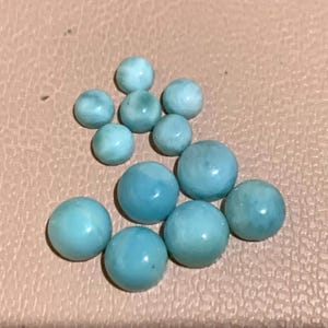 pukupuku さんが購入した商品の写真を追加しました