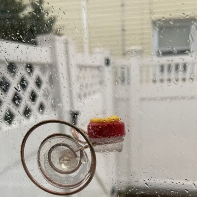 NEW Flower Single Hum-button™ With Lovely Window Spiral Holder Mini ...