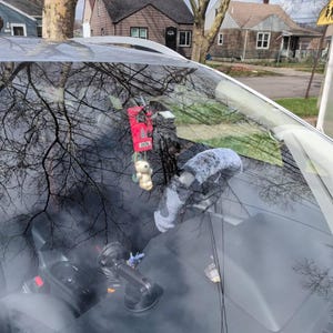 Meghan added a photo of their purchase