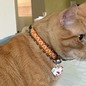 Debbie added a photo of their purchase