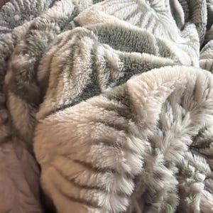 David added a photo of their purchase