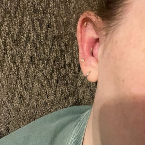 Shelby added a photo of their purchase