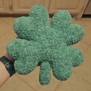 Shelby added a photo of their purchase