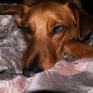 Aaliyah added a photo of their purchase