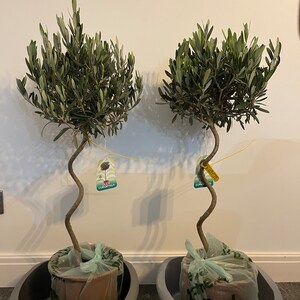 Anna ha añadido una foto de su compra