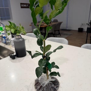 siriwan ha añadido una foto de su compra