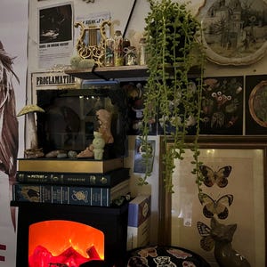 soph added a photo of their purchase