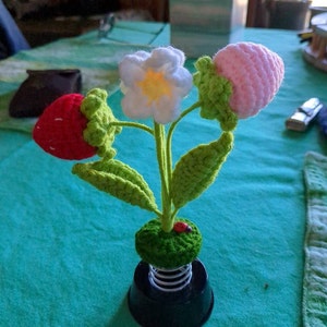 Bridget added a photo of their purchase