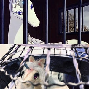 Carolina added a photo of their purchase