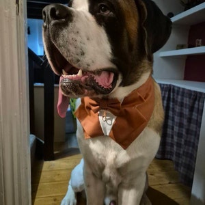 Jennifer heeft een foto van de aankoop toegevoegd