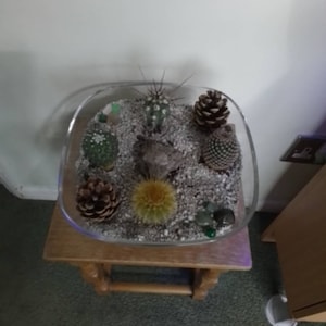 Christine added a photo of their purchase