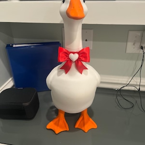 Amy ha aggiunto una foto del proprio acquisto