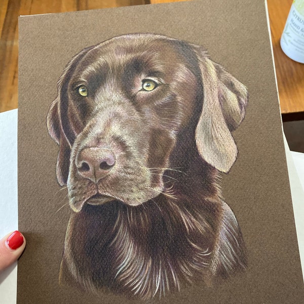 Custom Pet Portrait - Hand Drawn Colored Pencil Fine Art Dog Cat Animal ...
