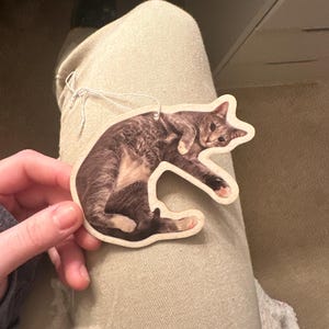 Rylee added a photo of their purchase