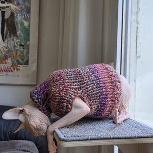 Juliette さんが購入した商品の写真を追加しました
