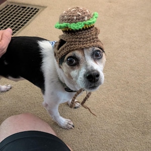 dr added a photo of their purchase
