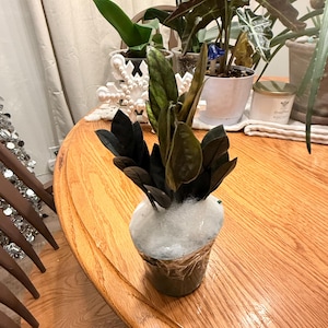 John added a photo of their purchase