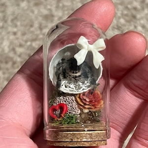 sereena added a photo of their purchase