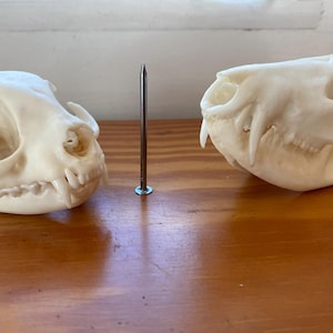 jon ha añadido una foto de su compra